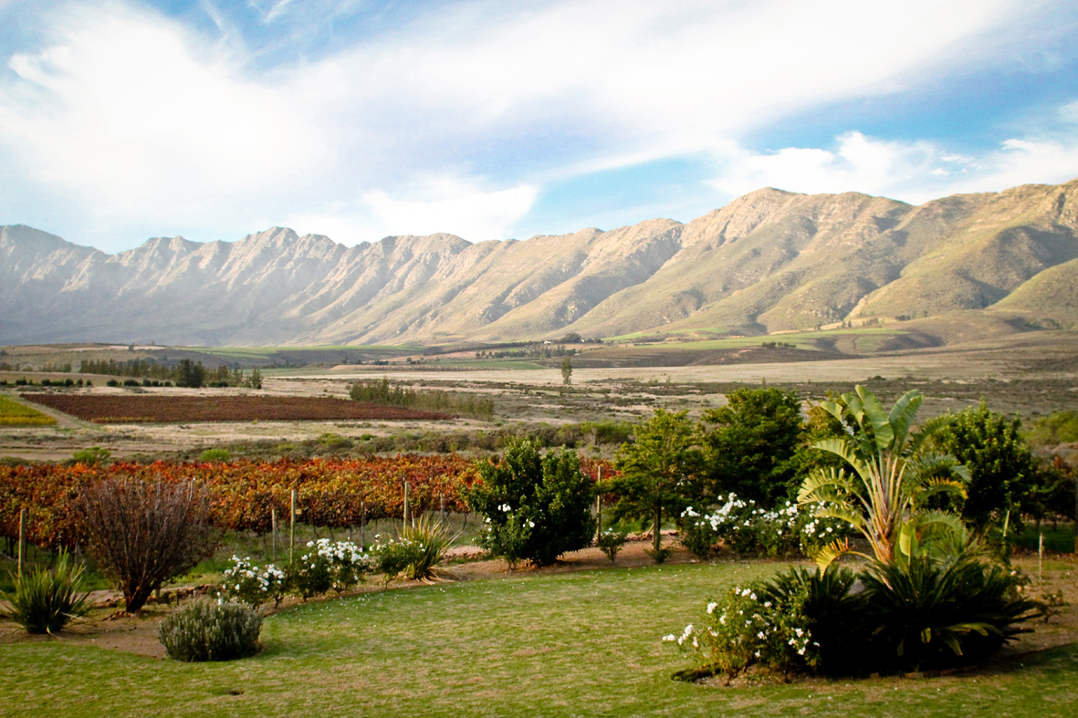 Tulbagh Mountains